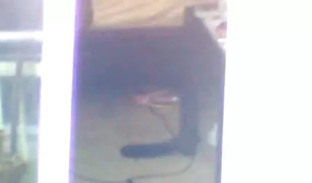 Perfect madhuri dixit xxx photo booty pov